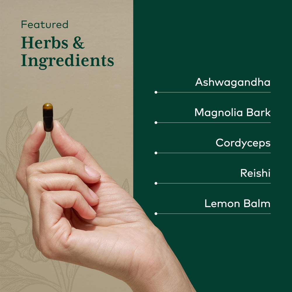 Gaia Herbs Pro Nighttime HPA cordyceps close-up showcasing premium ingredients.