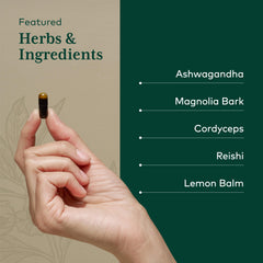 Gaia Herbs Pro Nighttime HPA cordyceps close-up showcasing premium ingredients.