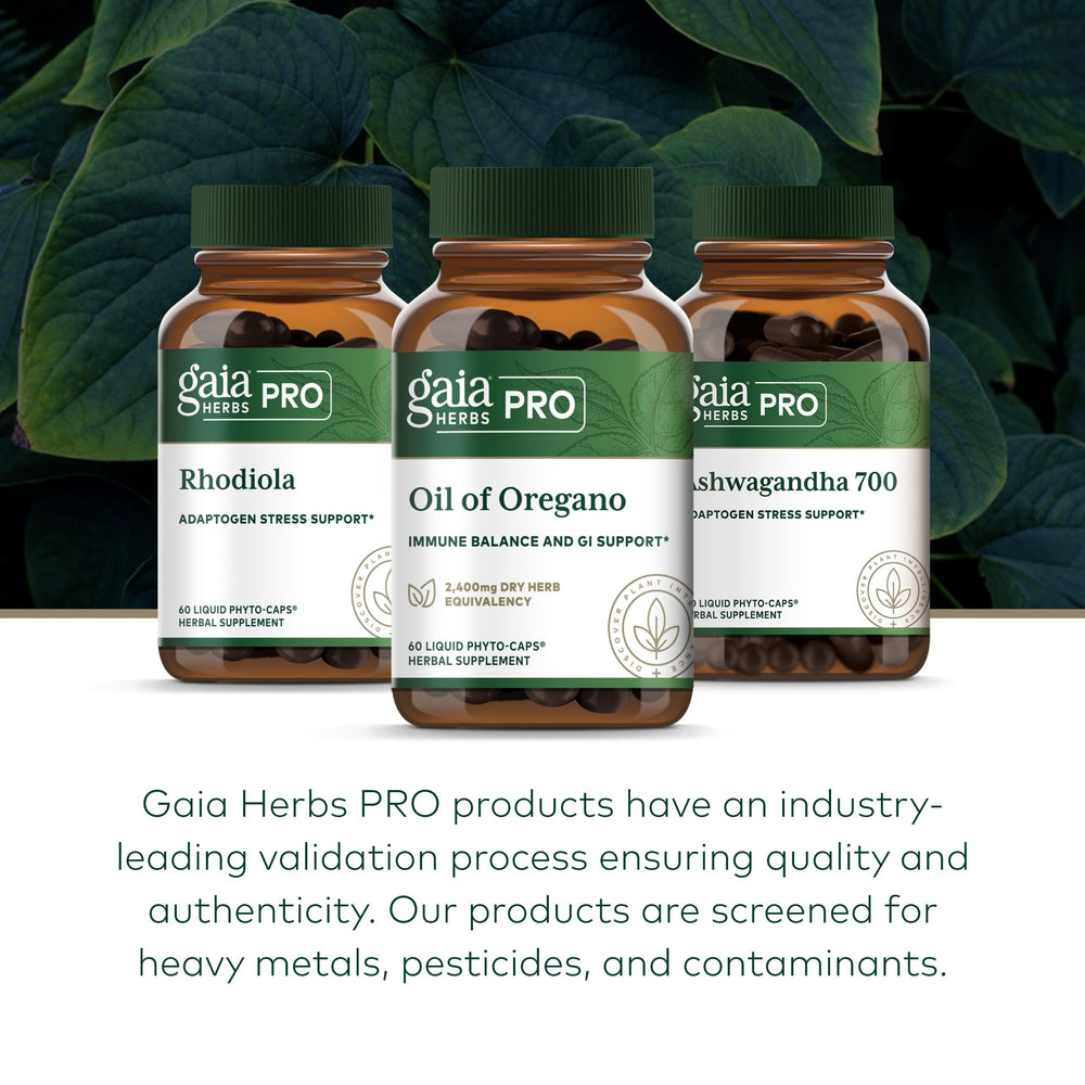 GAIA Herbs PRO Oil of Oregano bottle being poured with capsules ready for daily use