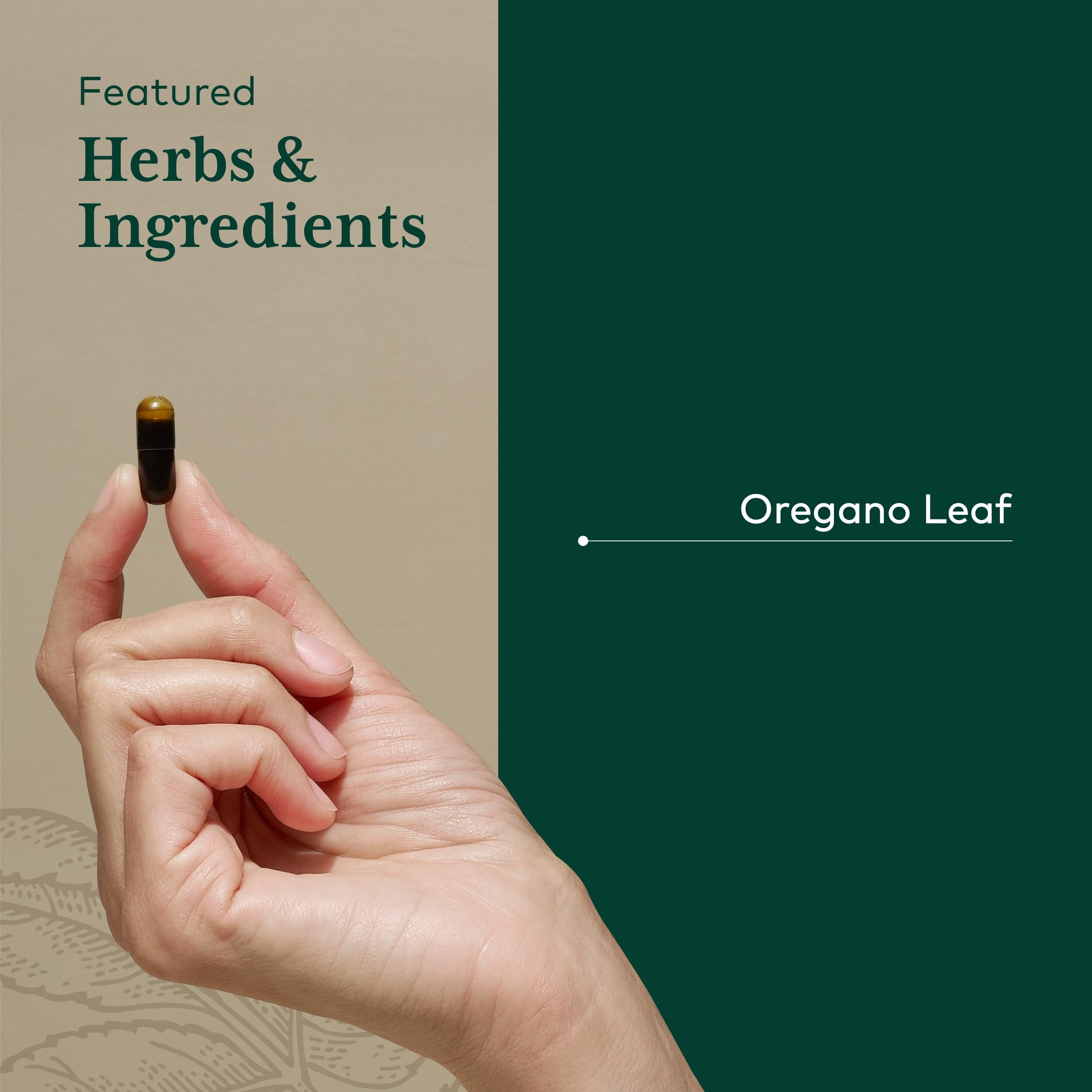 GAIA Herbs PRO oil extraction symbol illustrating the supercritical CO2 process for potency