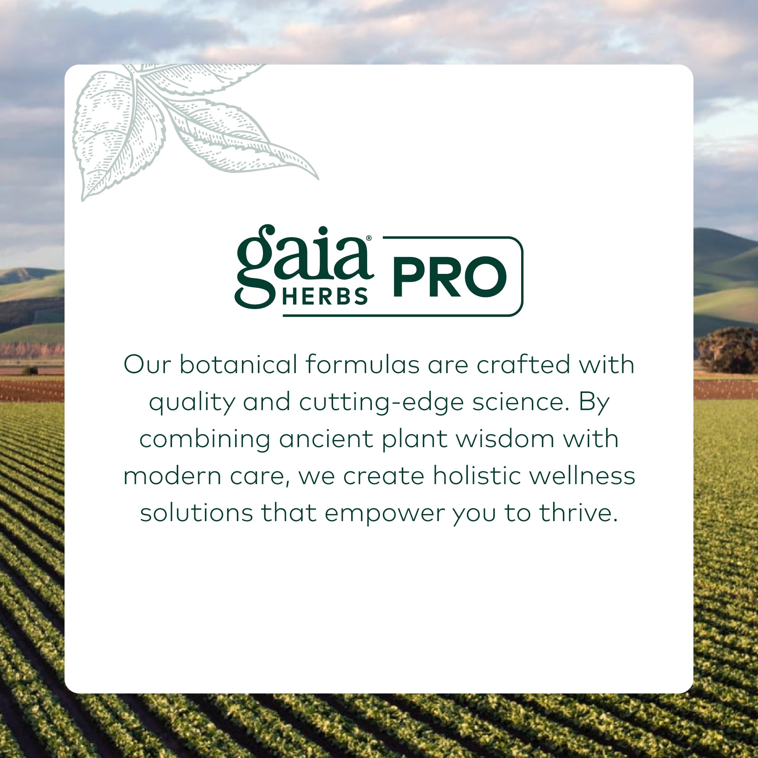 Gaia Herbs PRO Olive Leaf 1360 capsules on table for daily immune support.
