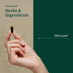 Gaia Herbs PRO Olive Leaf 1360 capsule cap with seal for freshness.