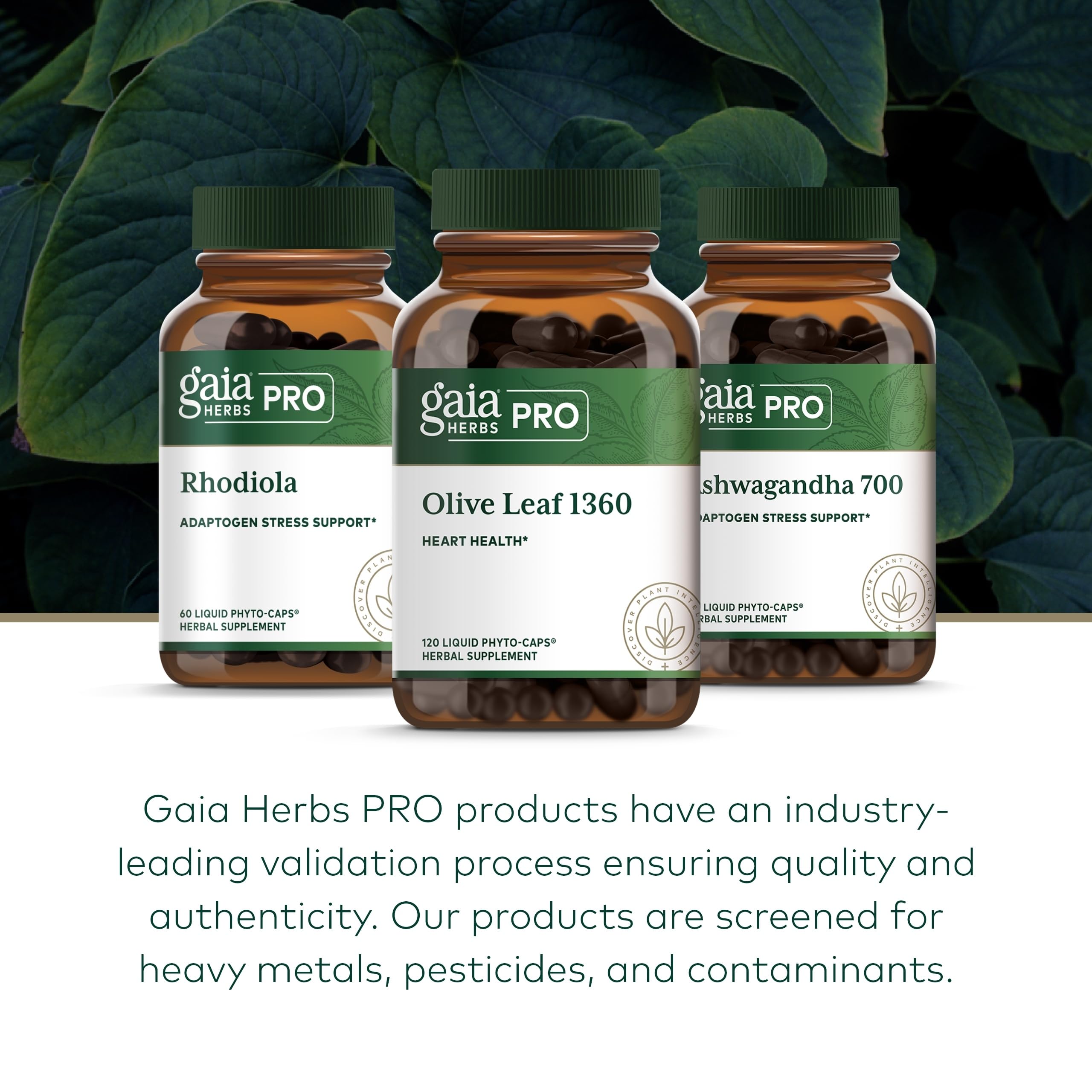 Gaia Herbs PRO Olive Leaf 1360 ingredient panel shows potency and purity.