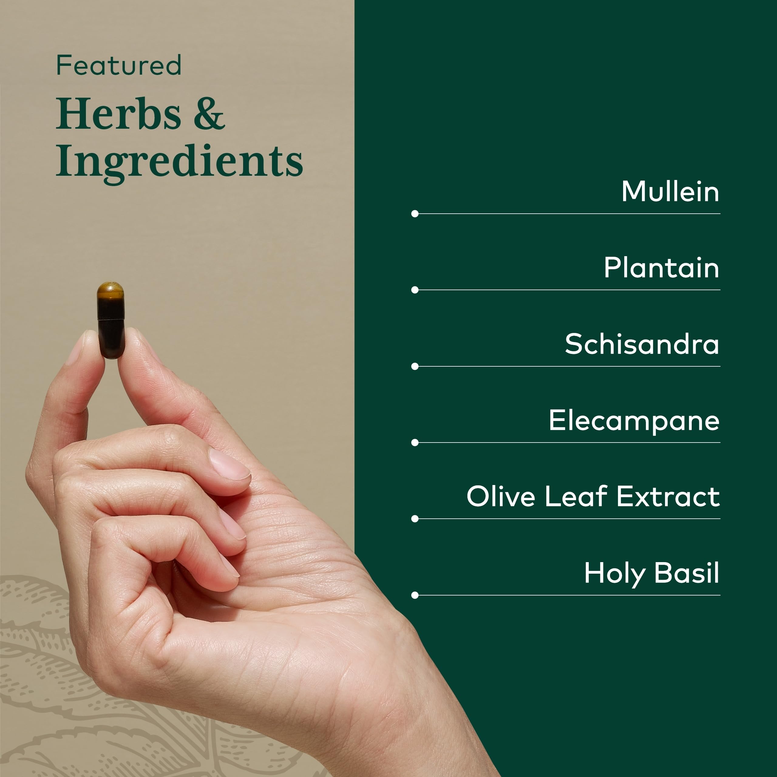 Gaia Herbs PRO olive oil and lecithin blend aids absorption.