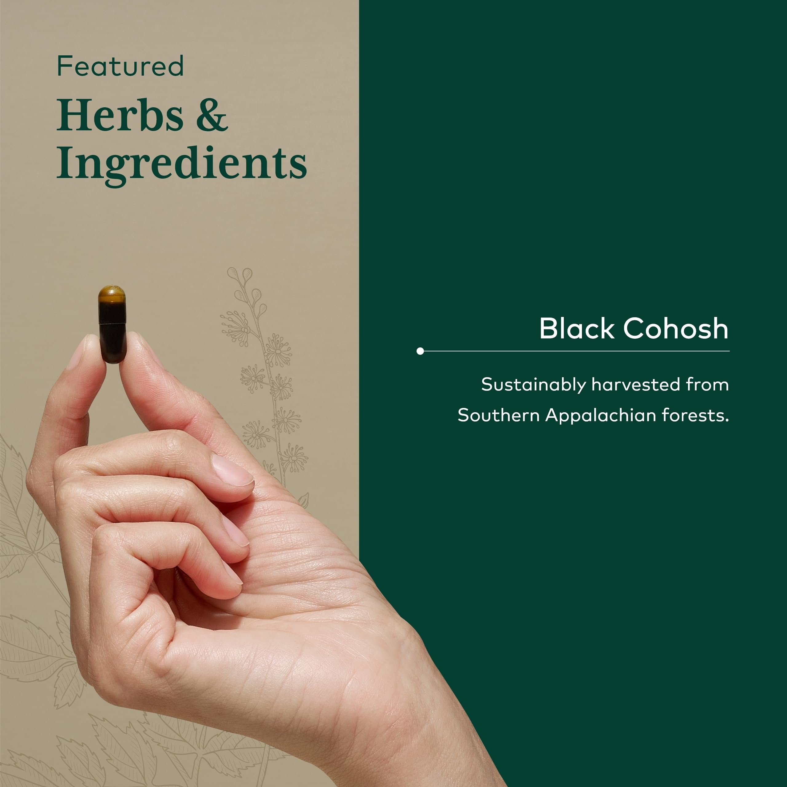 GAIA HERBS PRO organic black cohosh root extract highlighted in premium formula