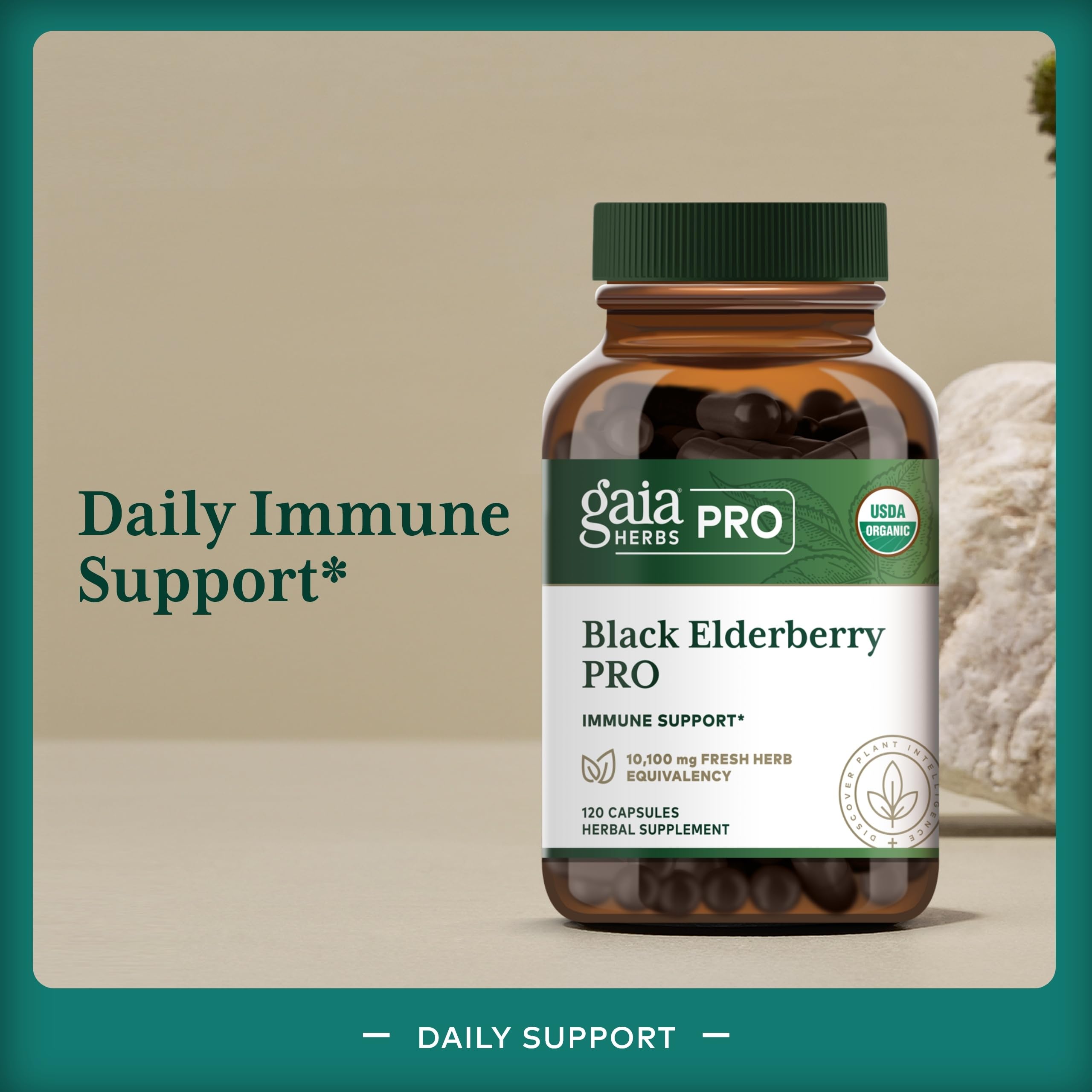 GAIA Herbs PRO organic elderberry fruit extract highlighted for concentration.
