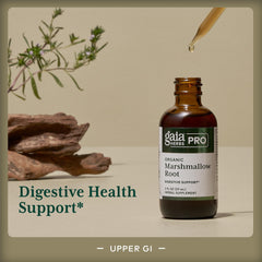 GAIA HERBS PRO Organic marshmallow root plants grown for potency.