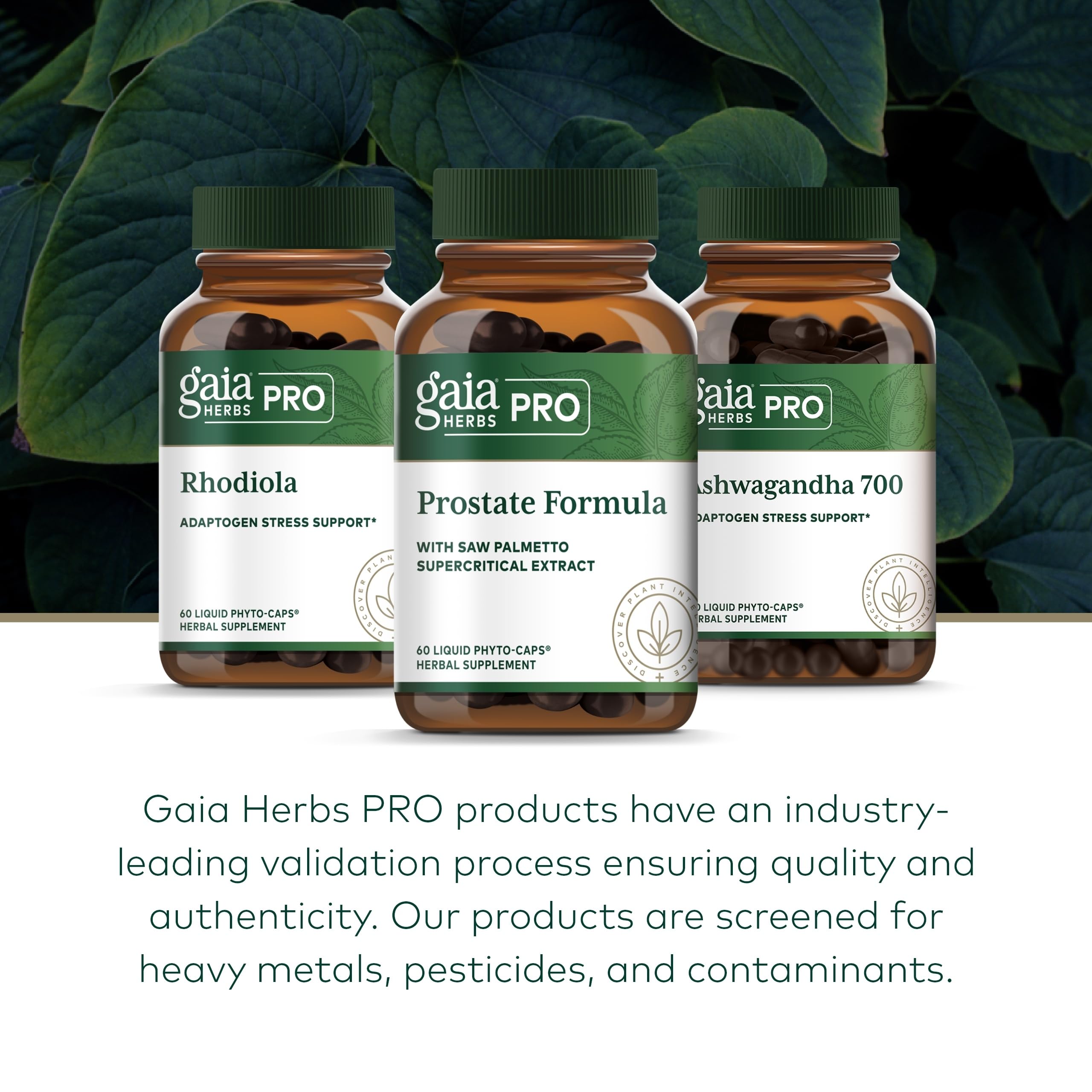 Gaia Herbs PRO Prostate Formula pomegranate close-up for antioxidant support.