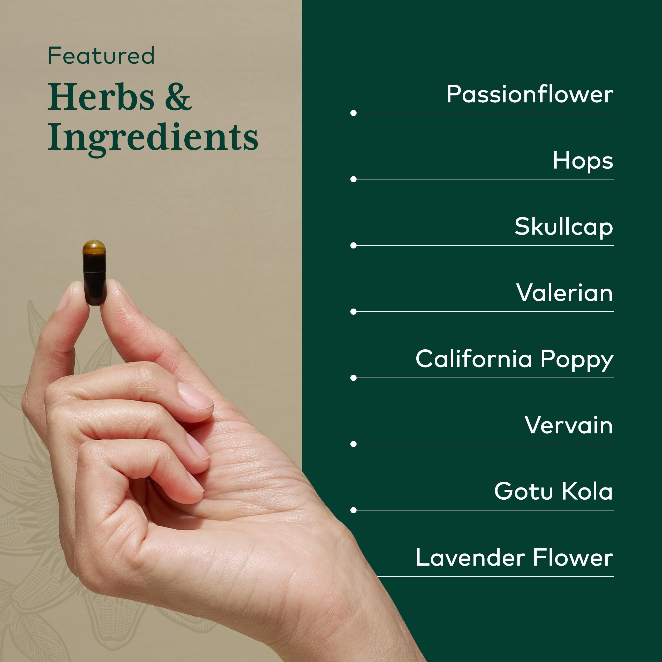Gaia Herbs PRO regenerative organic farm fields illustrate sustainable sourcing.