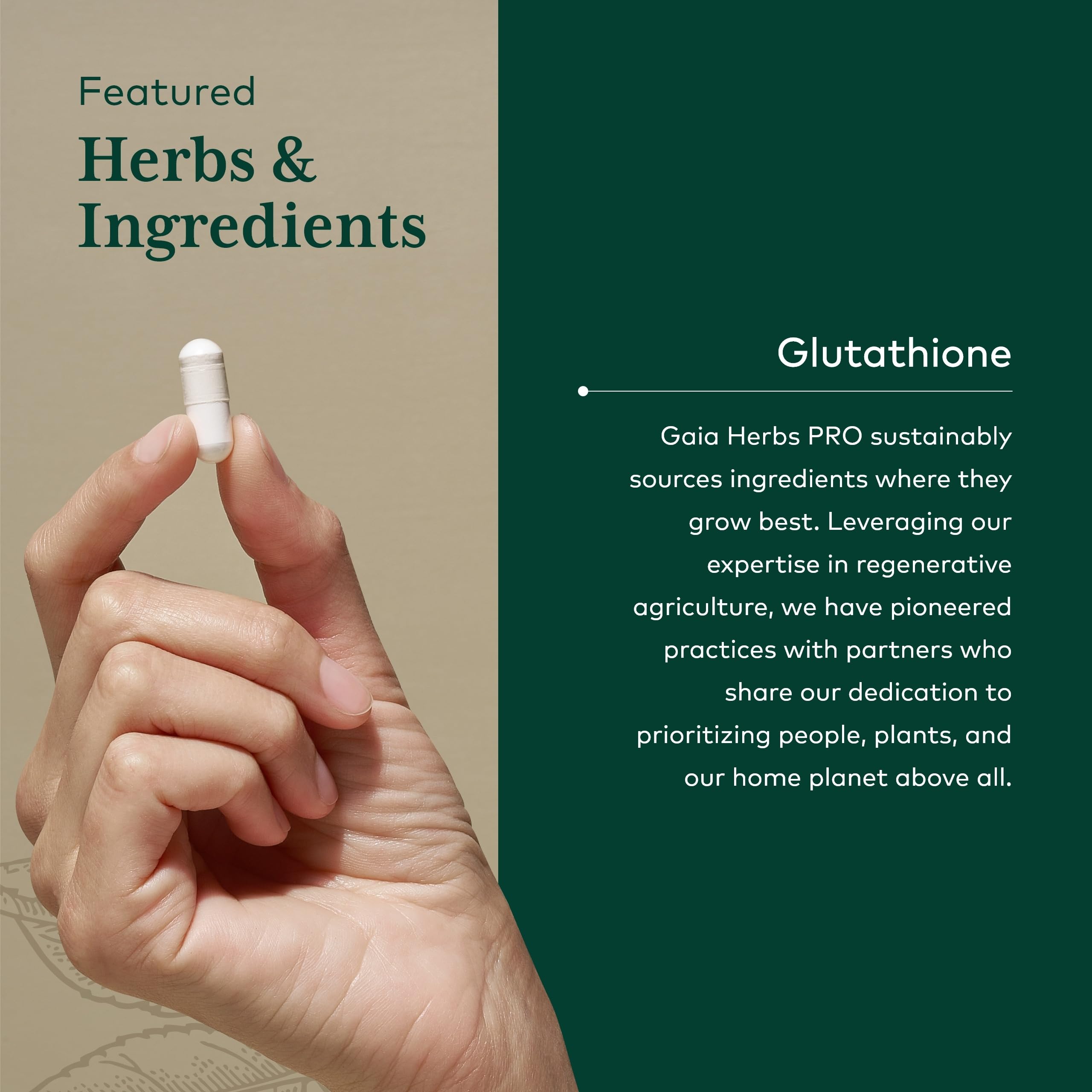 Gaia Herbs PRO regenerative organic farms in North Carolina for sustainable sourcing.