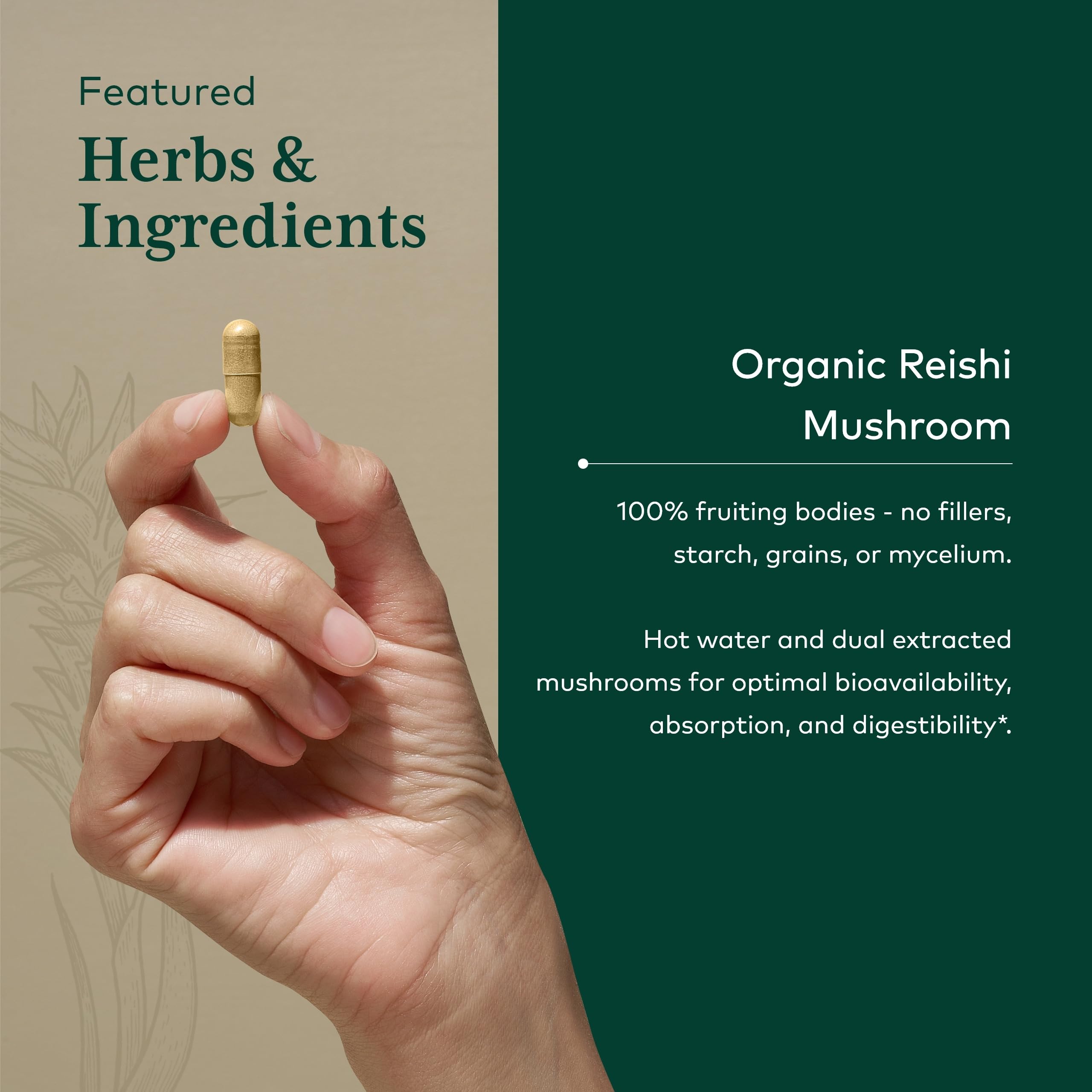 Image of Gaia Herbs PRO farm field illustrating regenerative organic farming.