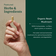 Image of Gaia Herbs PRO farm field illustrating regenerative organic farming.