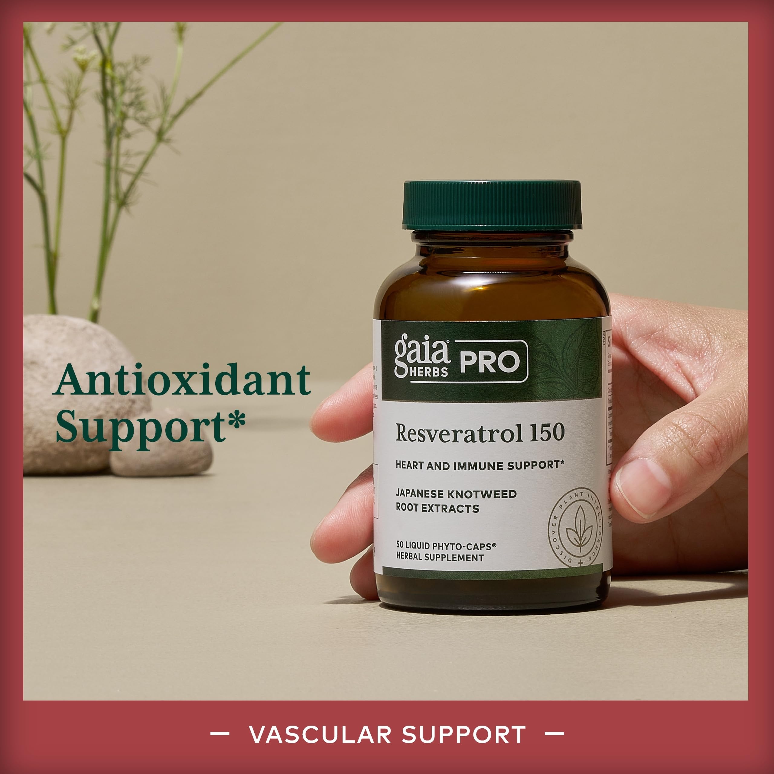 View of liquid phyto-caps for easy daily intake and versatile use.