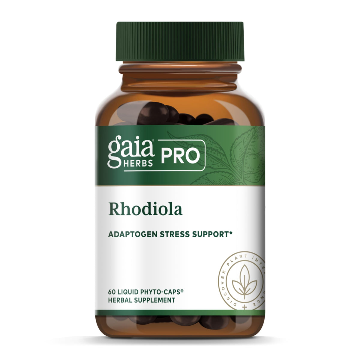 Gaia Herbs PRO Rhodiola energy bottle supports steady daily focus and natural energy.