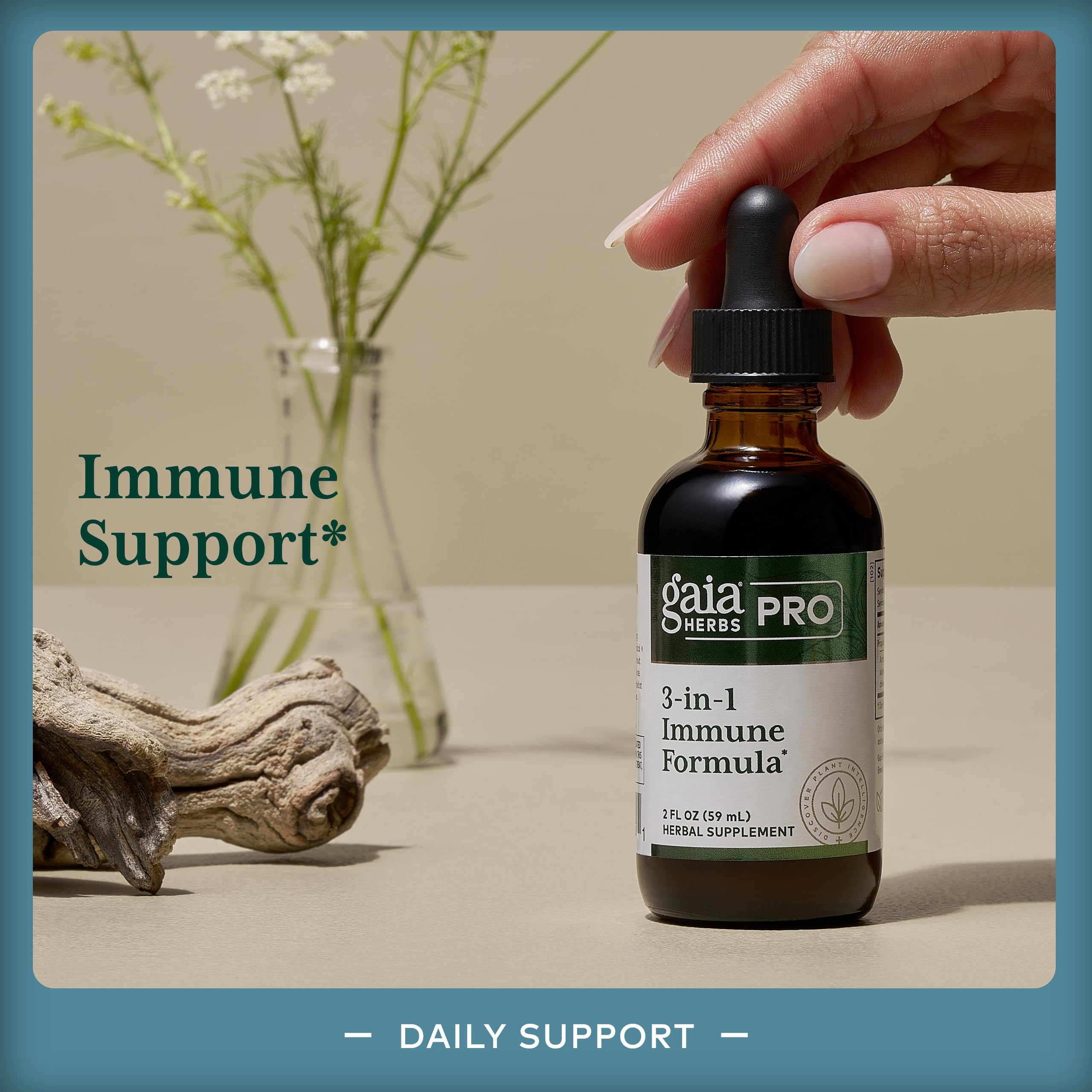GAIA Herbs PRO schisandra berry close-up emphasizes antioxidant-rich berries