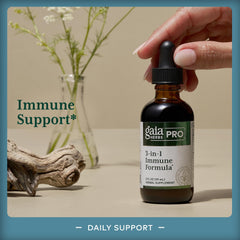 GAIA Herbs PRO schisandra berry close-up emphasizes antioxidant-rich berries