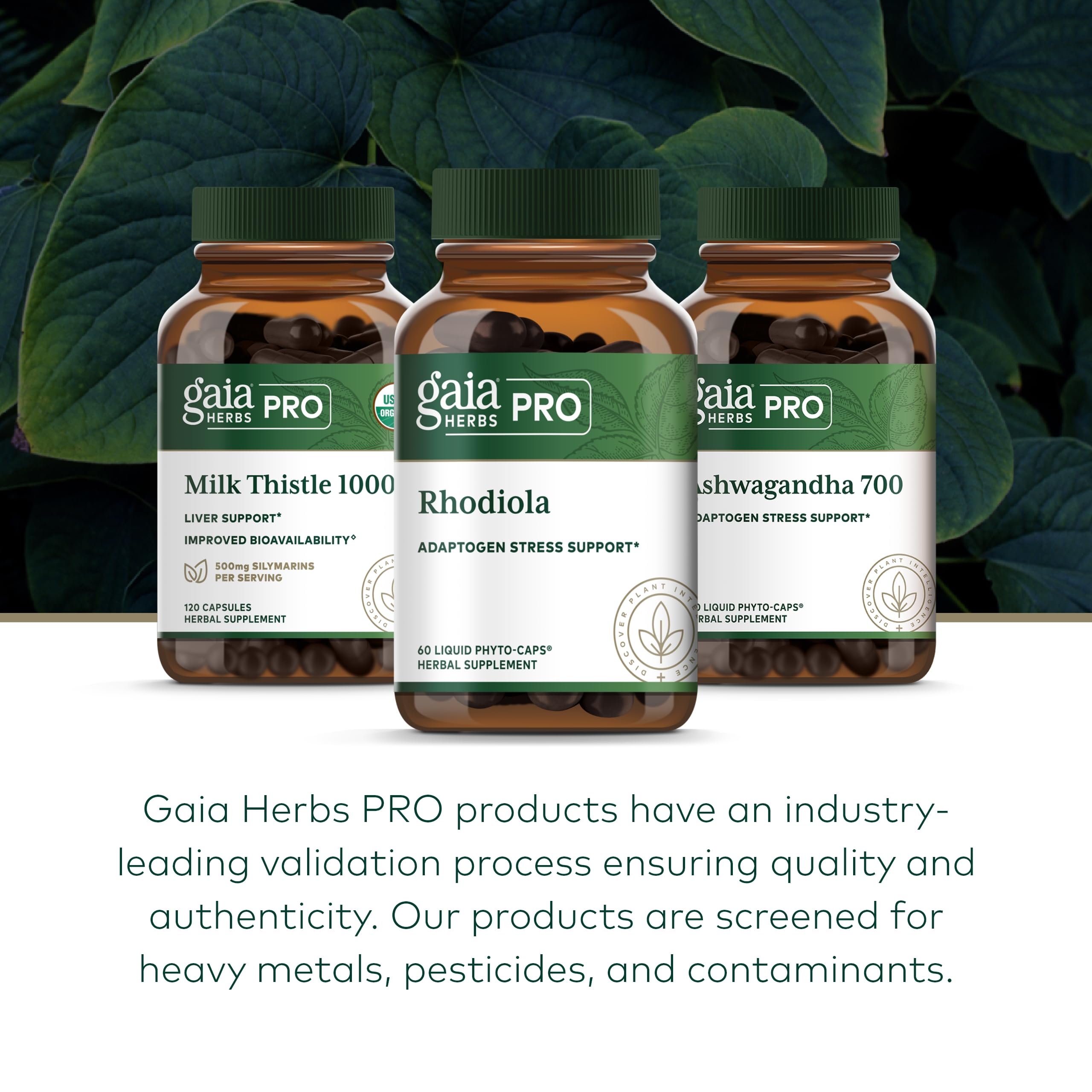 Gaia Herbs PRO partners ensure consistent, responsibly sourced herbs.