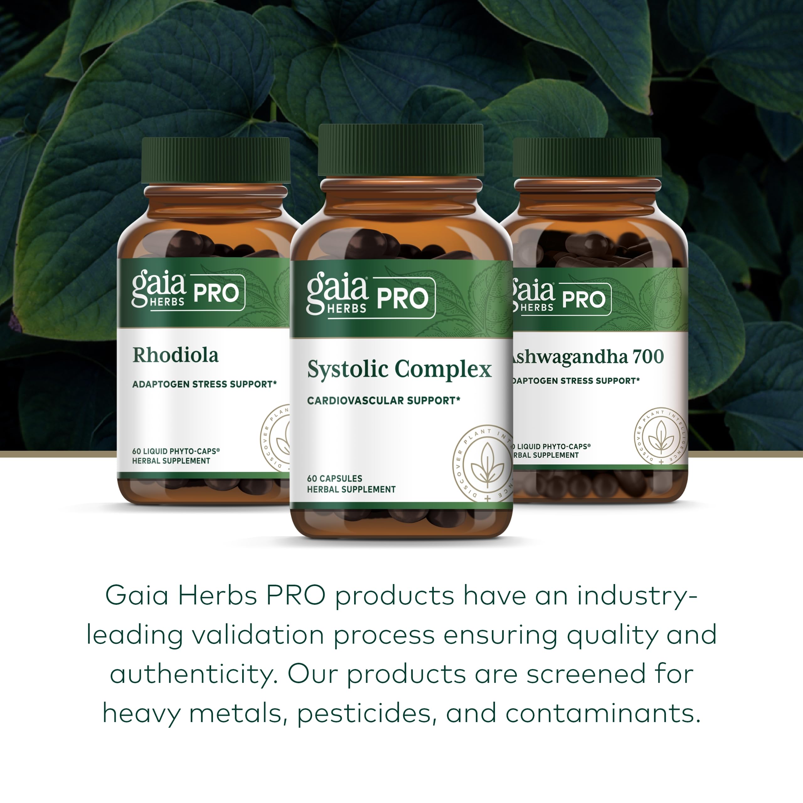 Gaia Herbs PRO Systolic Complex hibiscus petals closeup highlighting vibrant herbal notes.