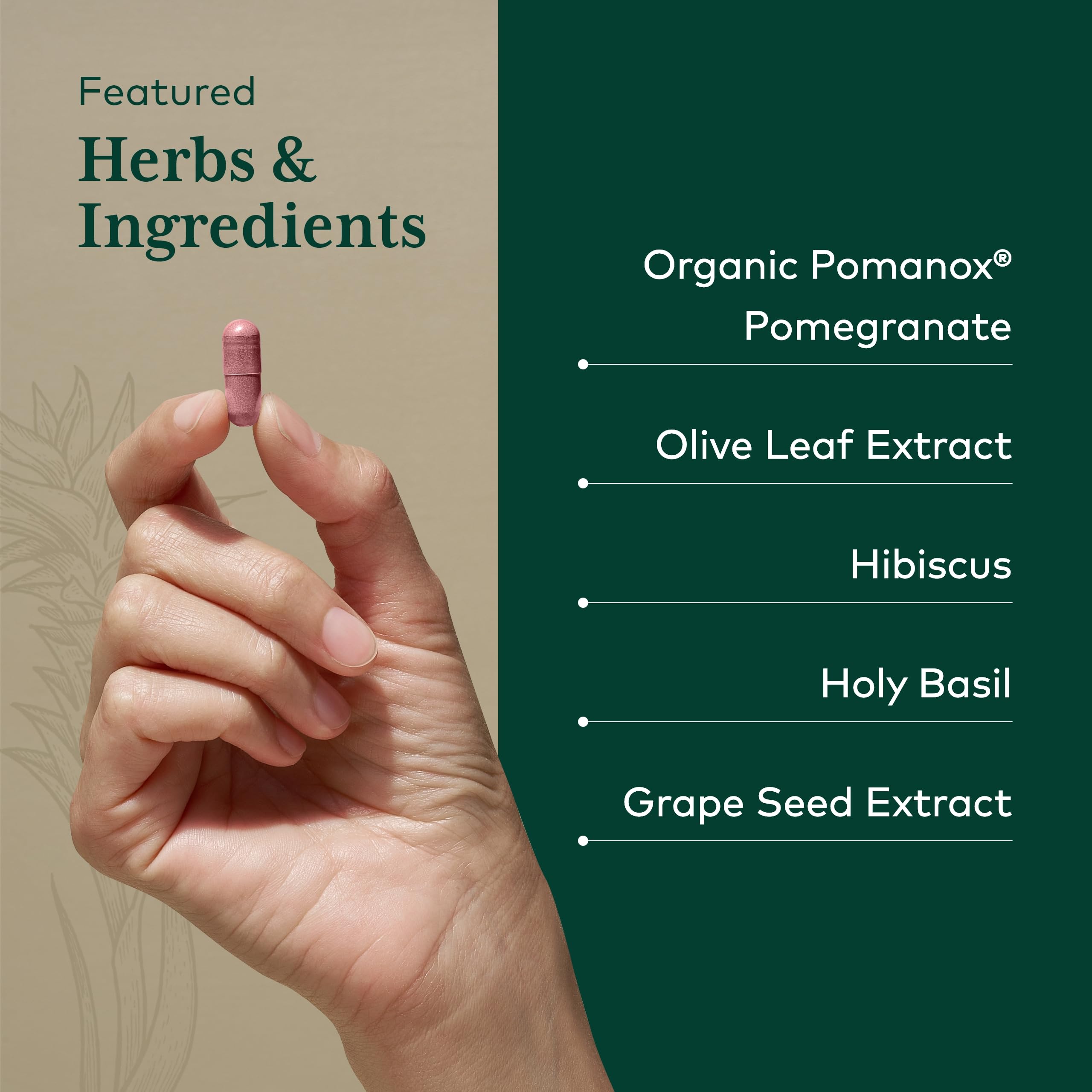 Gaia Herbs PRO Systolic Complex Pomanox pomegranate image indicating support for healthy vessels.