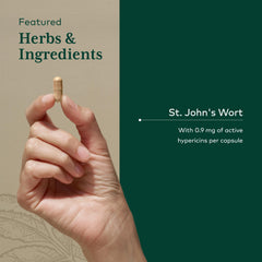 Gaia Herbs Pro testing process illustrated for potency and purity.