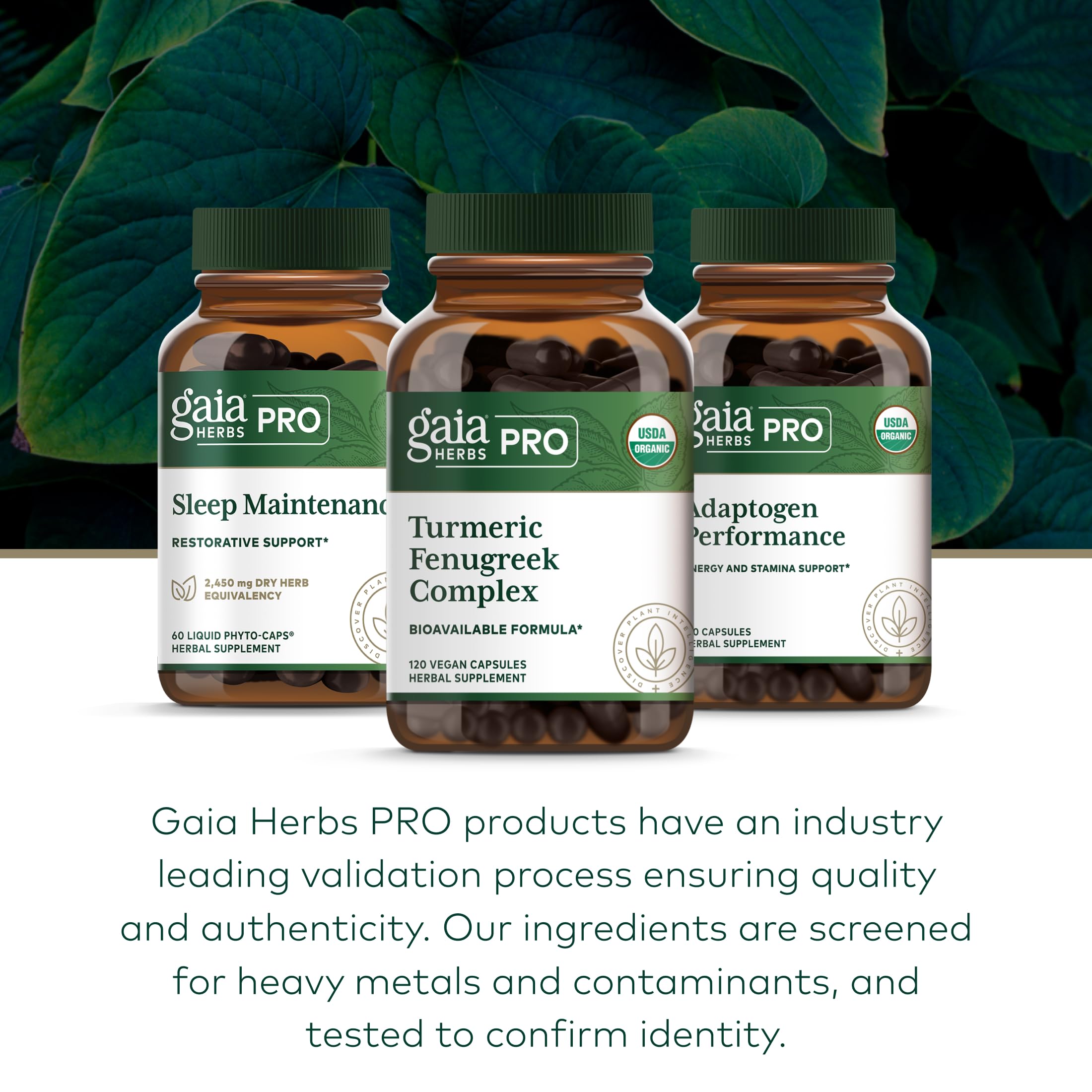 Gaia Herbs PRO Turmeric Fenugreek Complex turmeric image highlighting organic ingredient