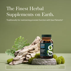 Gaia Herbs Prostate Health capsules close-up, vegan phyto-caps for easy daily intake.