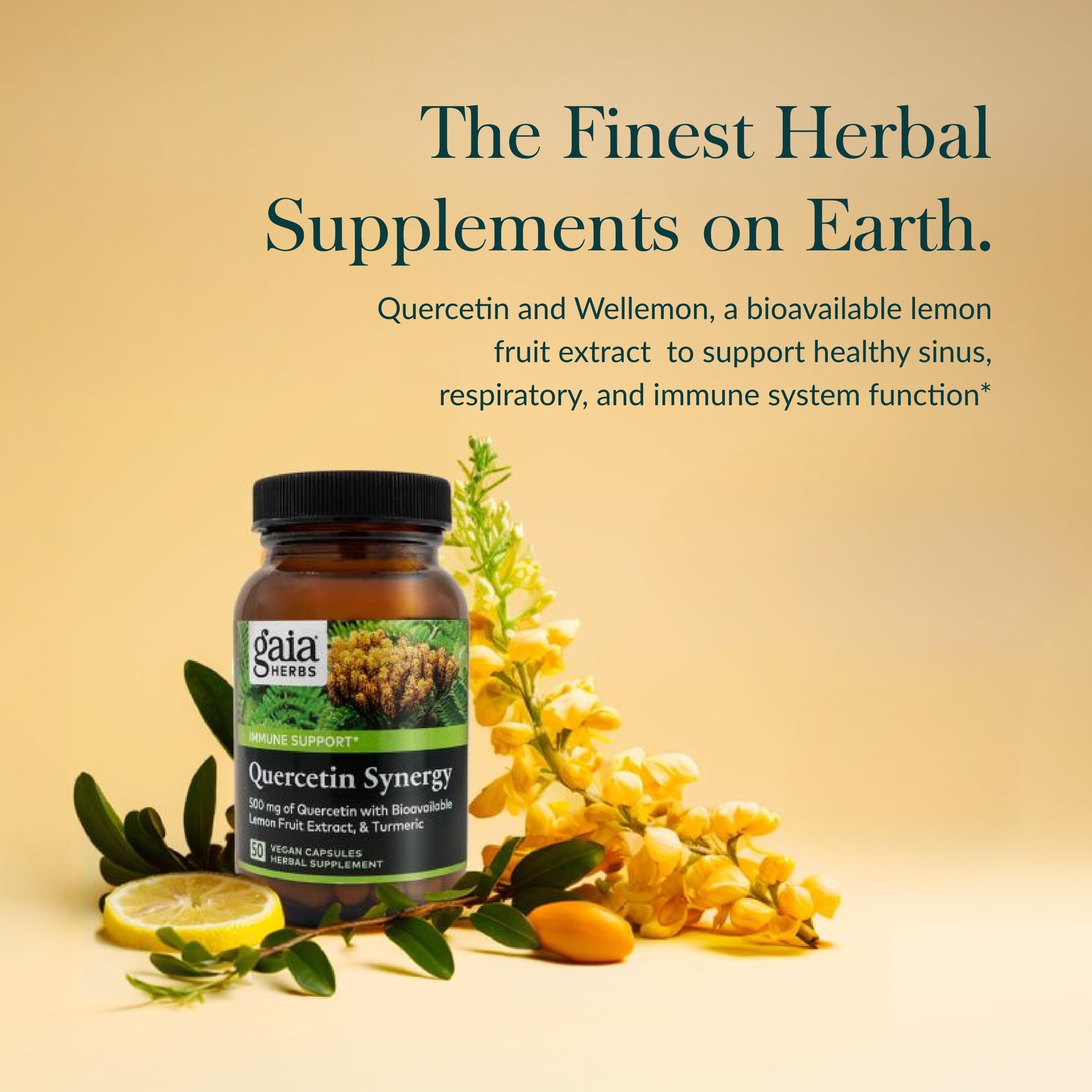 Close-up of Quercetin Synergy capsules for convenient daily use.