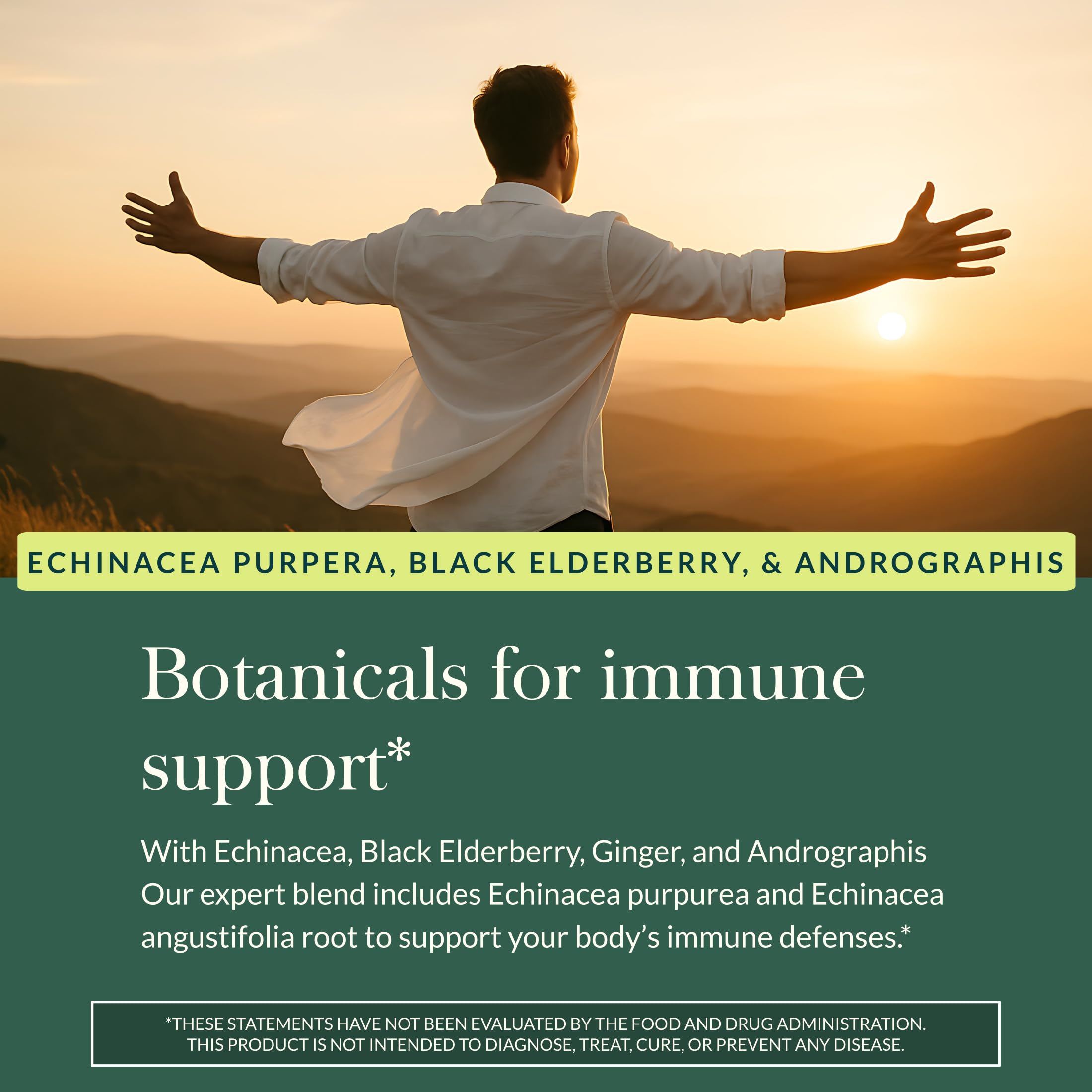 Concentrated echinacea highlighting potency in Gaia Quick Defense