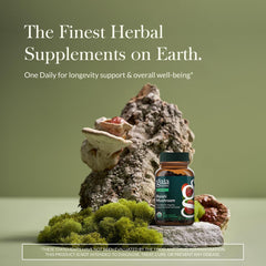 Gaia Herbs Reishi label close-up emphasizes quality sourcing.