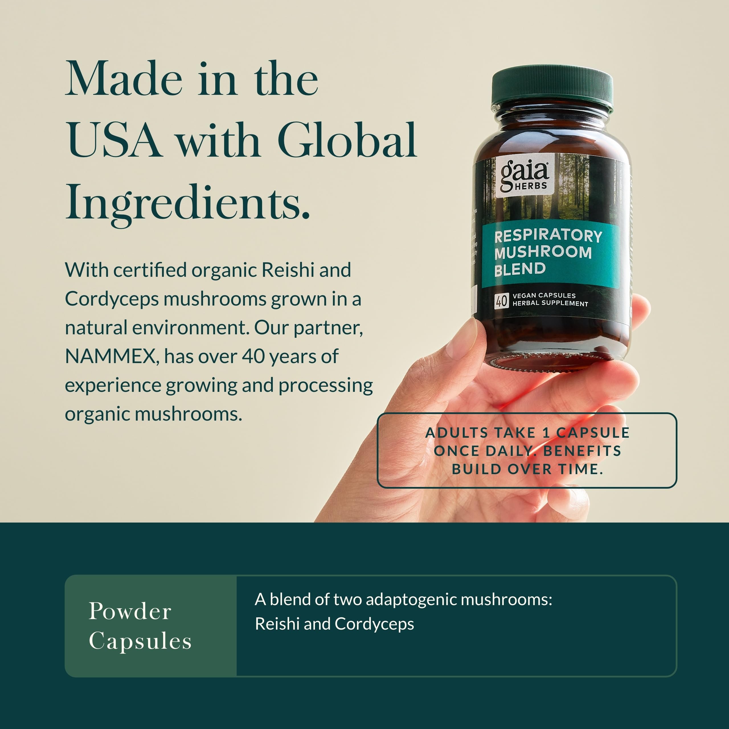 Gaia Herbs Respiratory Mushroom Blend organic mushrooms Reishi and Cordyceps.