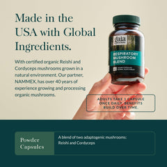 Gaia Herbs Respiratory Mushroom Blend organic mushrooms Reishi and Cordyceps.