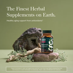 Gaia Herbs Resveratrol bottle pour, ideal for daily wellness routine