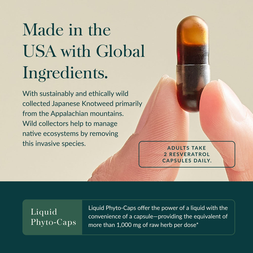 Gaia Herbs Resveratrol capsules close-up, 150 mg trans-resveratrol per serving
