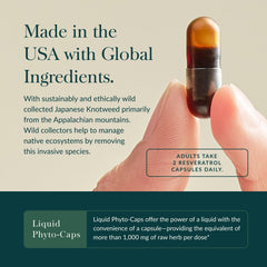Gaia Herbs Resveratrol capsules close-up, 150 mg trans-resveratrol per serving