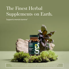 Gaia Herbs Rhodiola capsules designed for daily resilience.