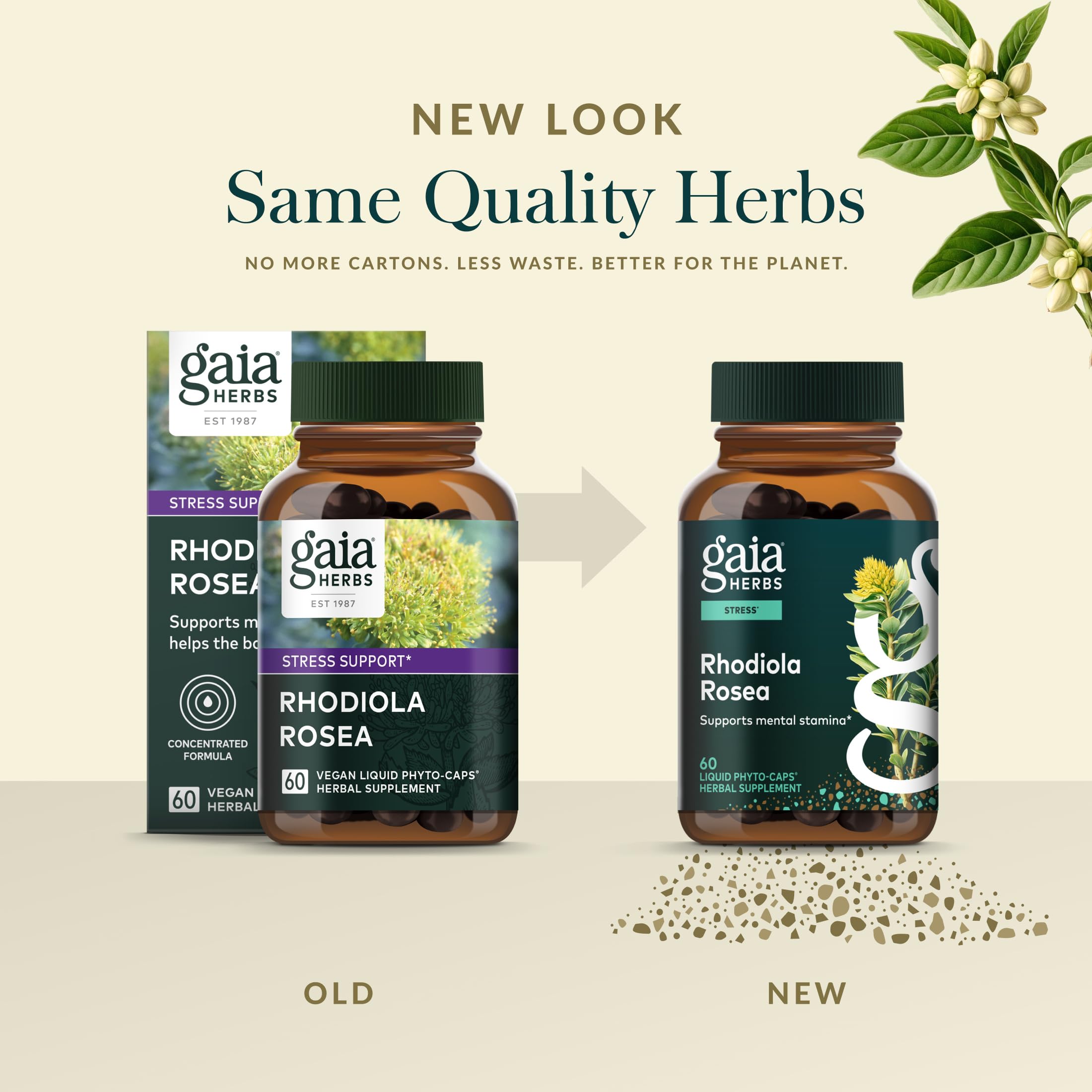 Gaia Herbs Rhodiola Rosea European roots image emphasizing responsible cultivation.