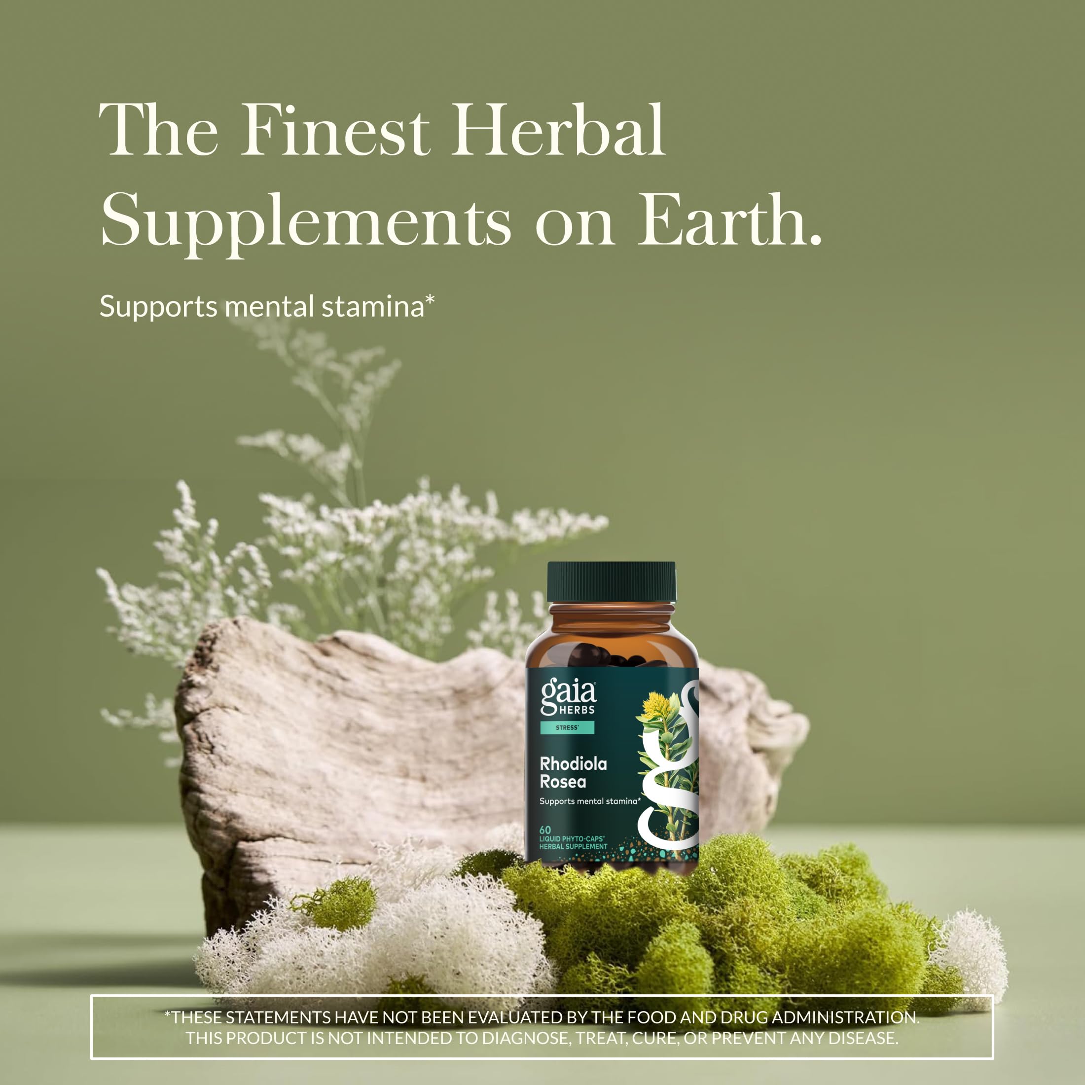 Gaia Herbs Rhodiola Rosea phyto-caps closeup showing vegan capsules for natural energy.