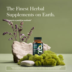 Gaia Herbs Steady Mind bottle back with supplement details