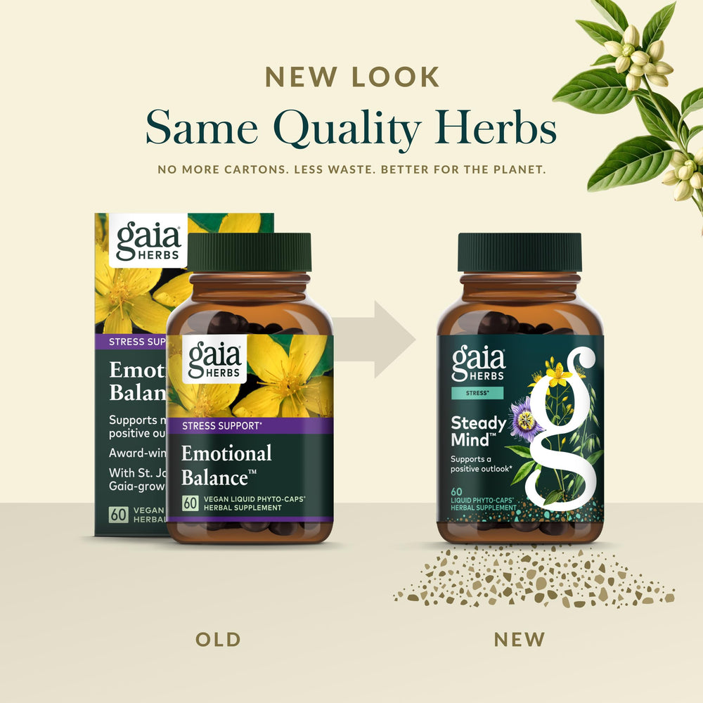 Gaia Herbs Steady Mind ingredient close-up oats