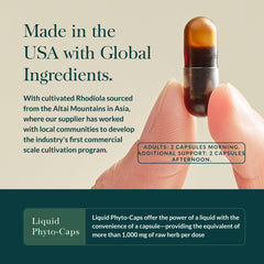Gaia Herbs Stress Response ingredient visual featuring rhodiola, holy basil, and ashwagandha.