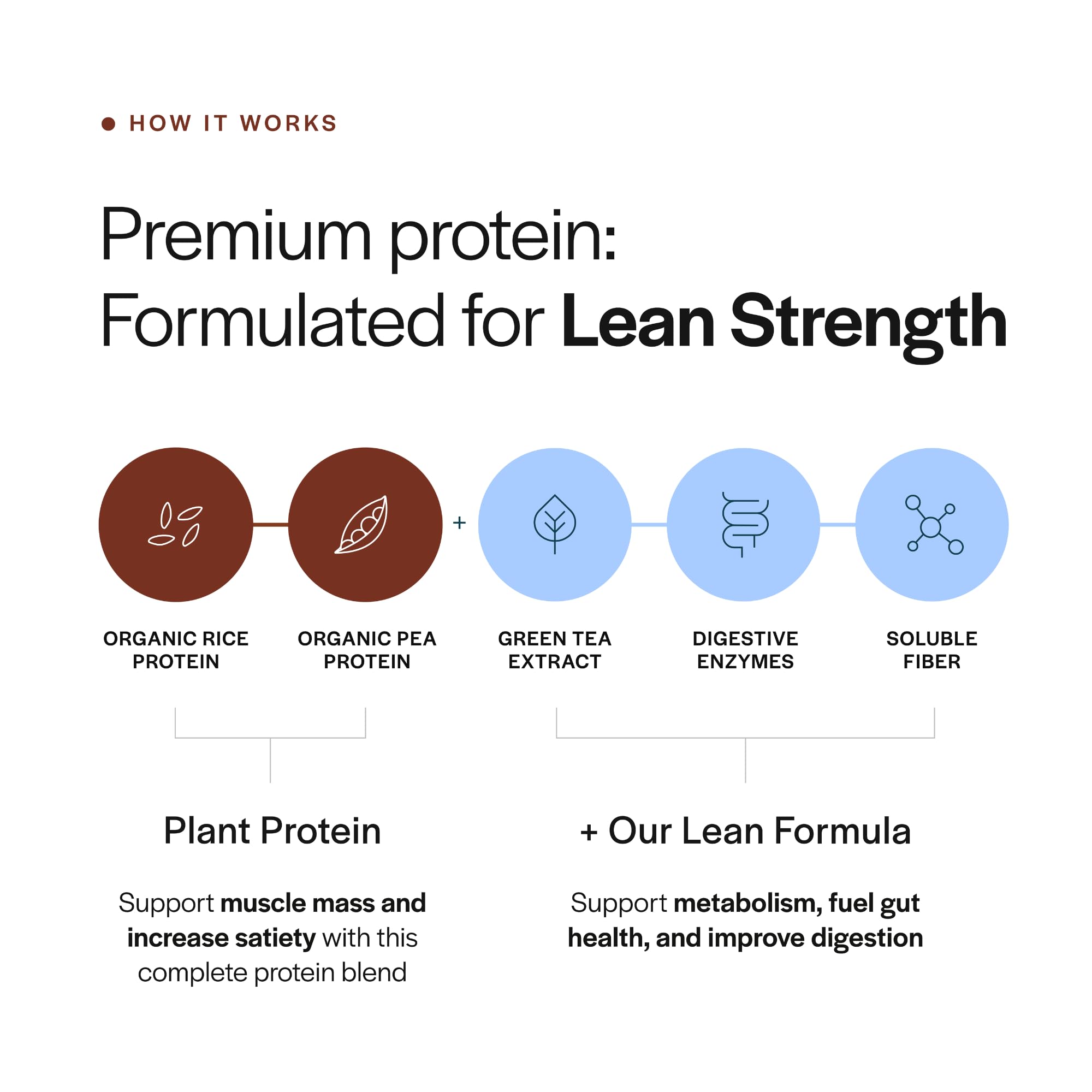 Gainful Lean unflavored powder in a jar for versatile mixes.