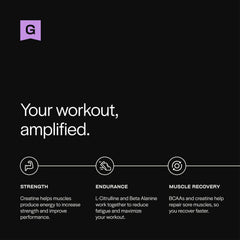 Close-up of Gainful pre-workout scoop showing precise serving size for consistent use.