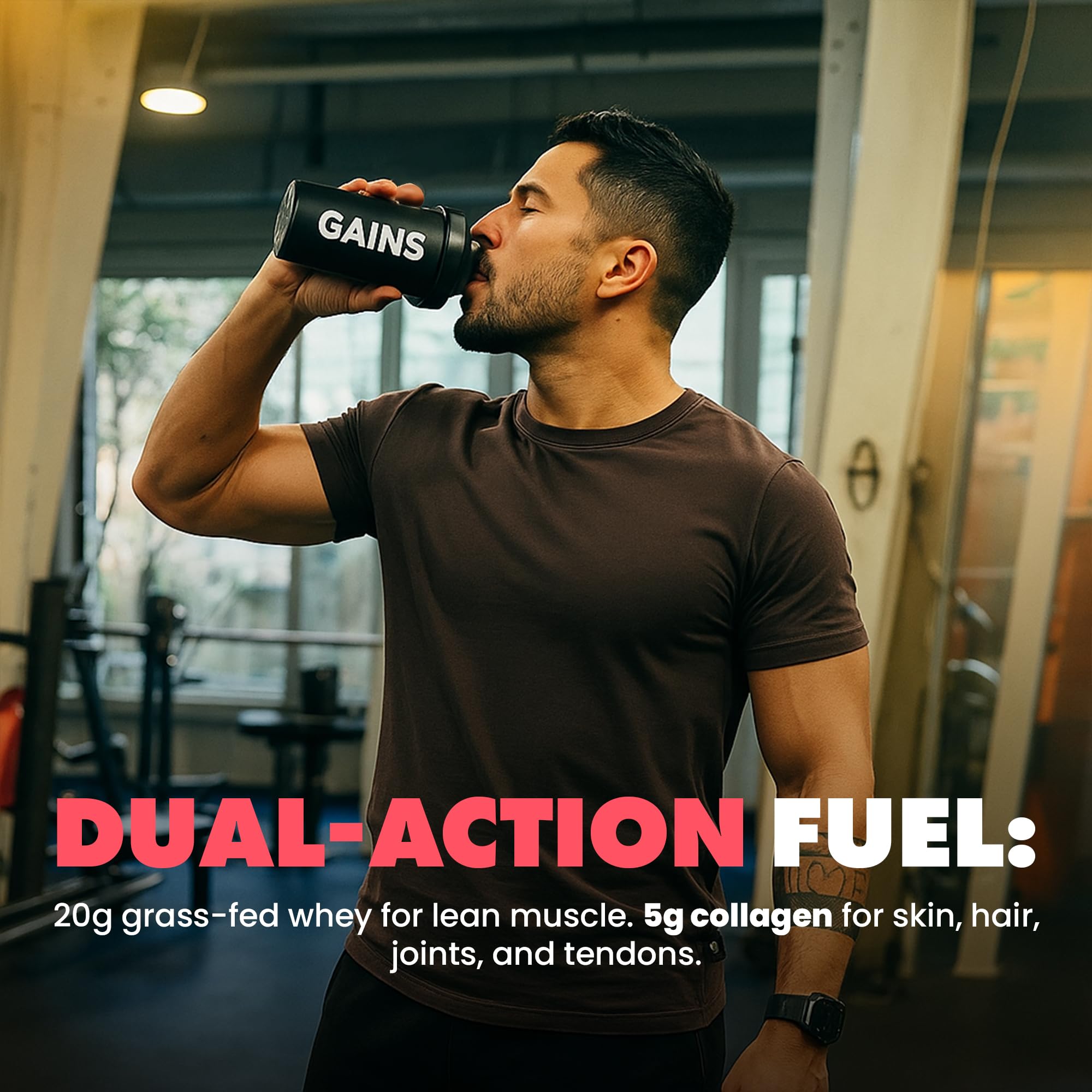 GAINSINBULK plant enzyme blend bottle suggests easy digestion with shakes