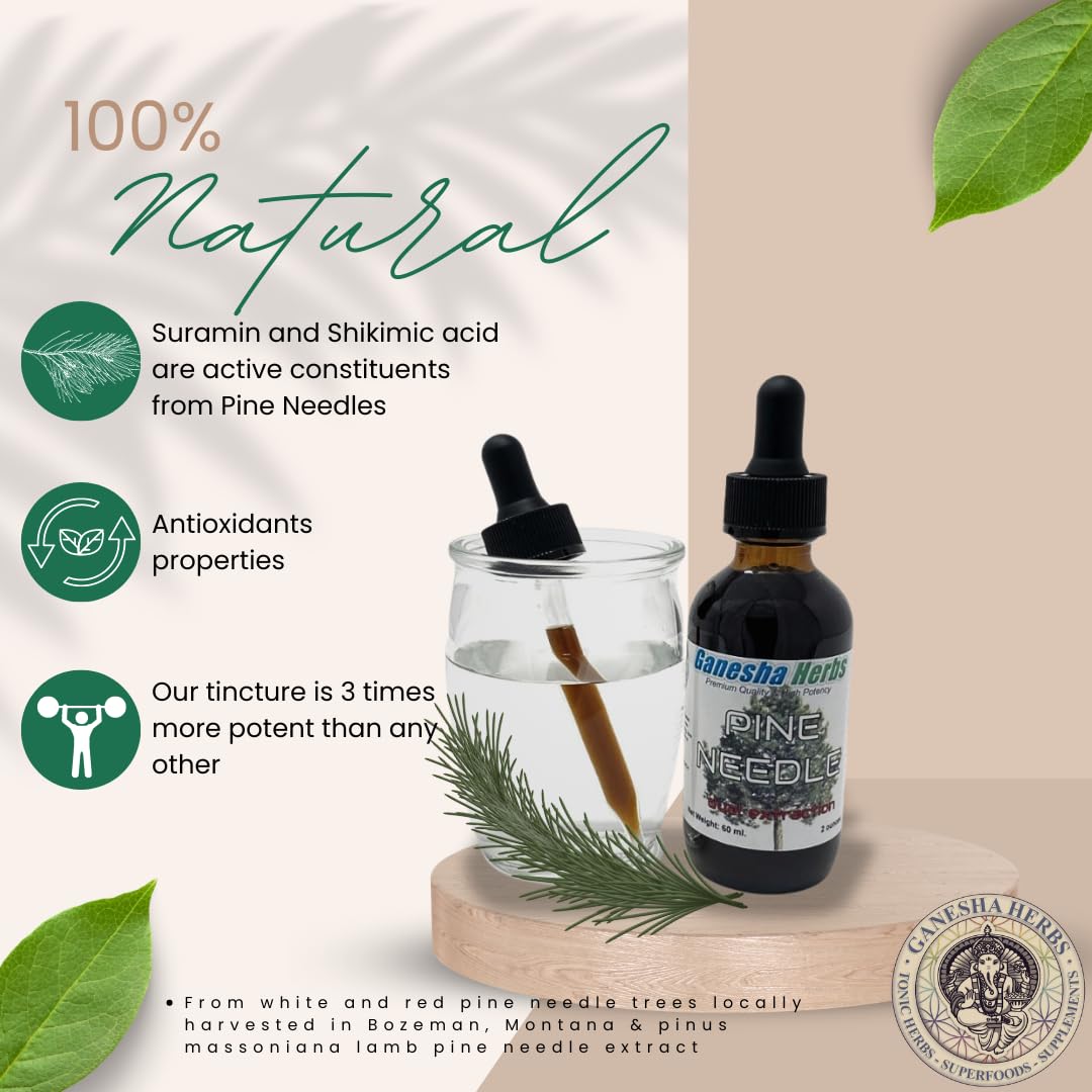 Ganesha Herbs Suramax fennel seeds contribute aromatic notes and wellness potential.