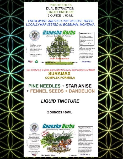 Ganesha Herbs Suramax pine needle closeup and tincture context.