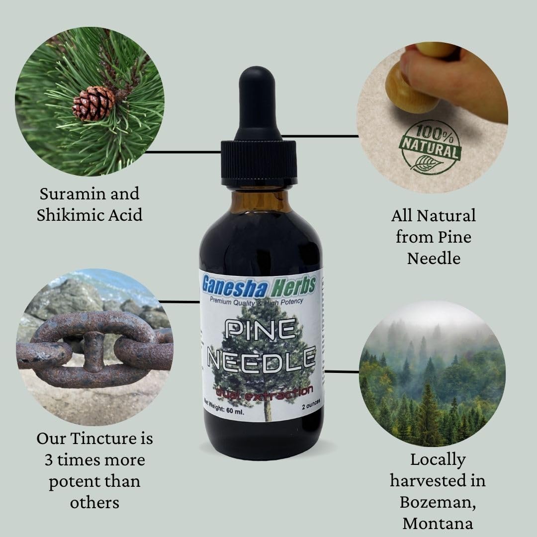 Ganesha Herbs Suramax pine needle tincture being poured for easy dosing.