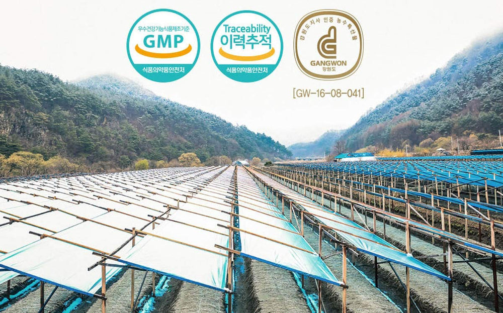 Gangwoninsam jar packaging highlighting pure concentrate ready for tea like mixing