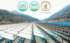 Gangwoninsam jar packaging highlighting pure concentrate ready for tea like mixing