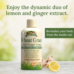 Garden Greens Wheat Grass Liquid bottle with measuring cup, showing 32 servings for daily use.
