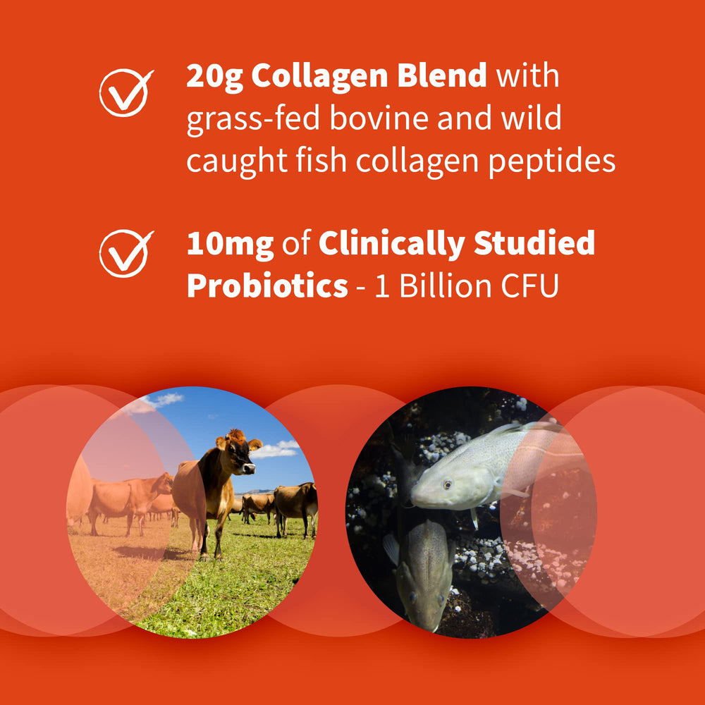 Garden of Life gluten-free and hormone-free collagen powder label
